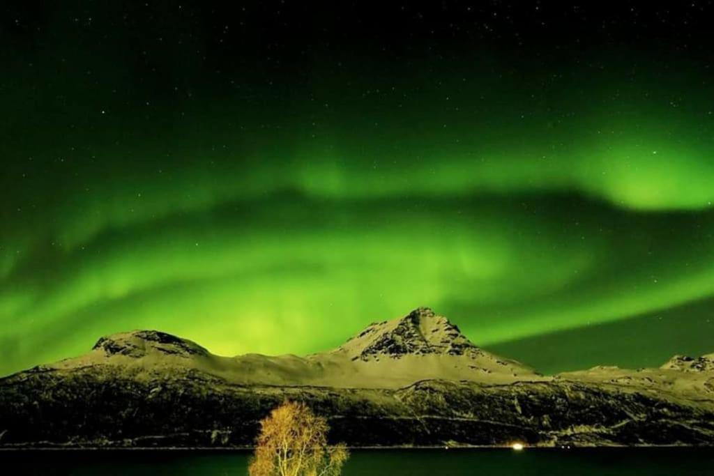 Gratangen Norwegian Dream 아파트 외부 사진