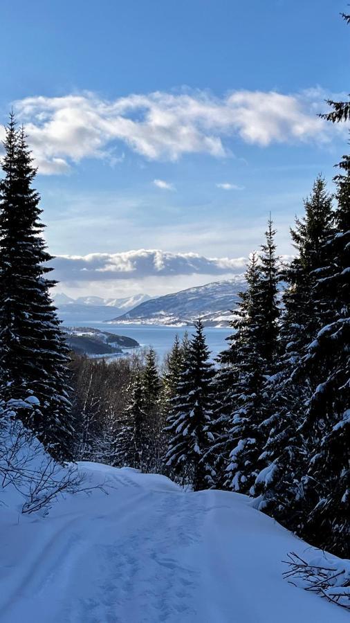 Gratangen Norwegian Dream 아파트 외부 사진