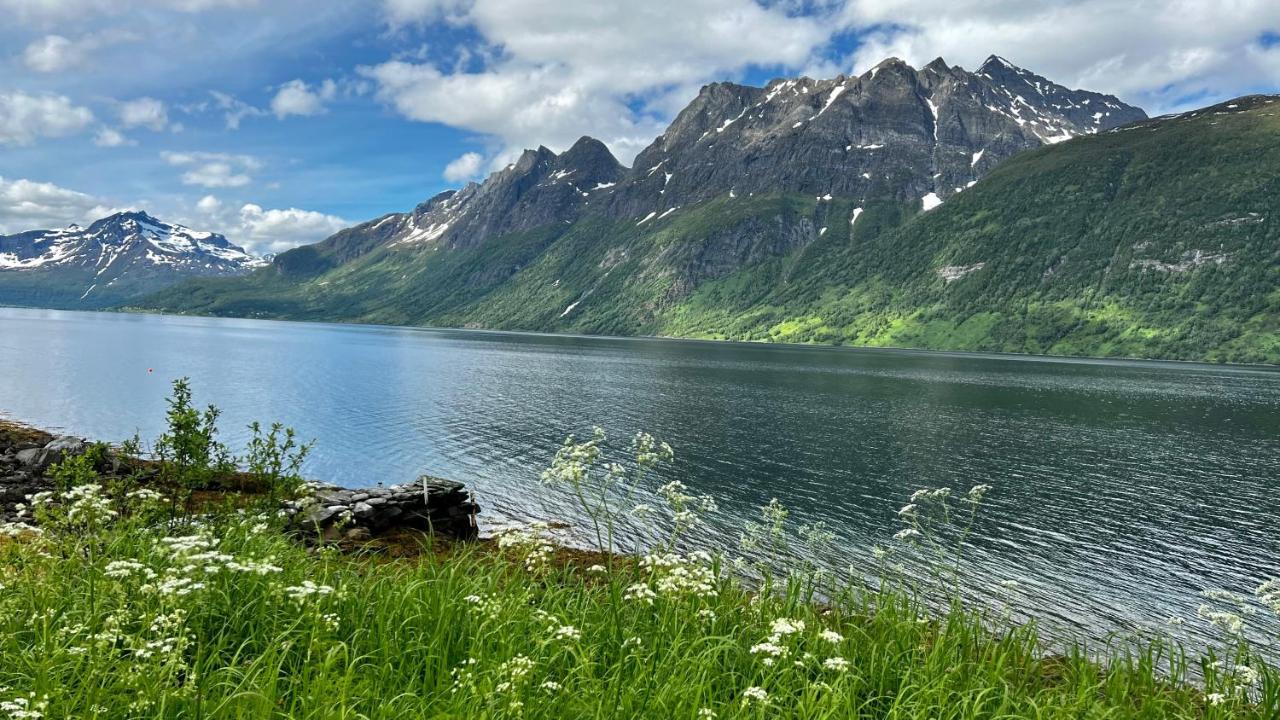 Gratangen Norwegian Dream 아파트 외부 사진