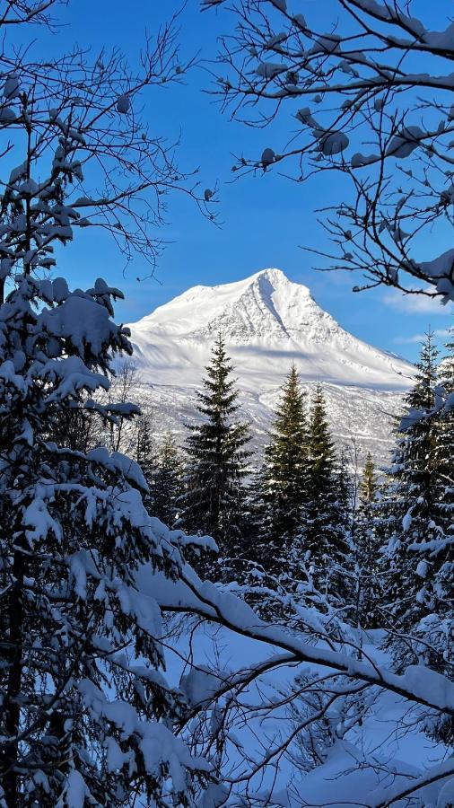 Gratangen Norwegian Dream 아파트 외부 사진